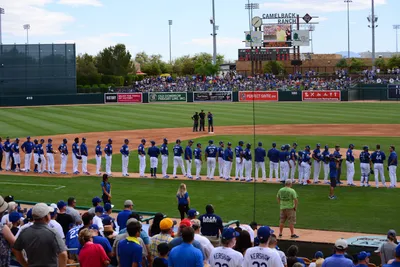 DSC_1553 (Large).JPG